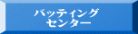 　　バッティング　 　　　センター